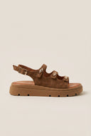 Buckle Strap Sandals - Taupe Suede