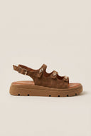 Buckle Strap Sandals - Taupe Suede