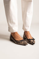 Μπαλαρίνες με μυτερή μύτη – Μπεζ snake print