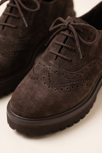 Brogue Lace Up Shoes Chunky Sole - Brown Suede