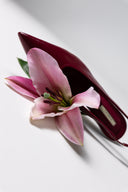 <h4>NEW COLLECTION</h4>