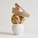 Beige sandal on a piece of coral in a white vase against a light background