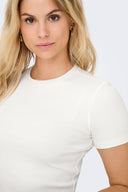 Ribbed Short Sleeve Crop Top - White-Ribbed Short Sleeve Crop Top - White