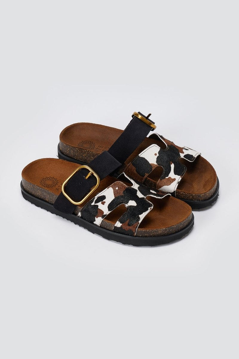 ATENEO - Animal Print Sandals Buckle Strap - Black Cow Pony