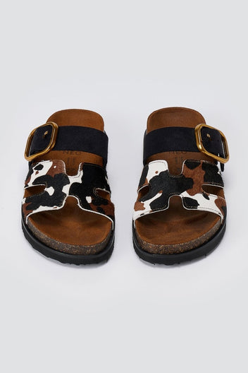 ATENEO - Animal Print Sandals Buckle Strap - Black Cow Pony