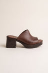 Brown Matte