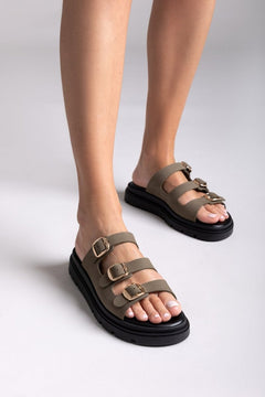 Kaki