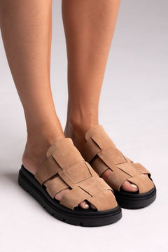 taupe