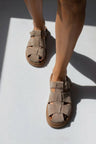 Taupe
