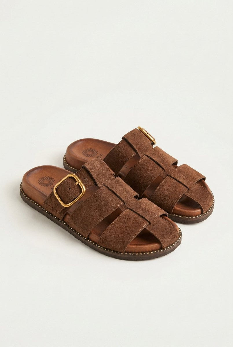ATENEO - Fisherman Sandals Buckle Detail - Dark Brown Suede