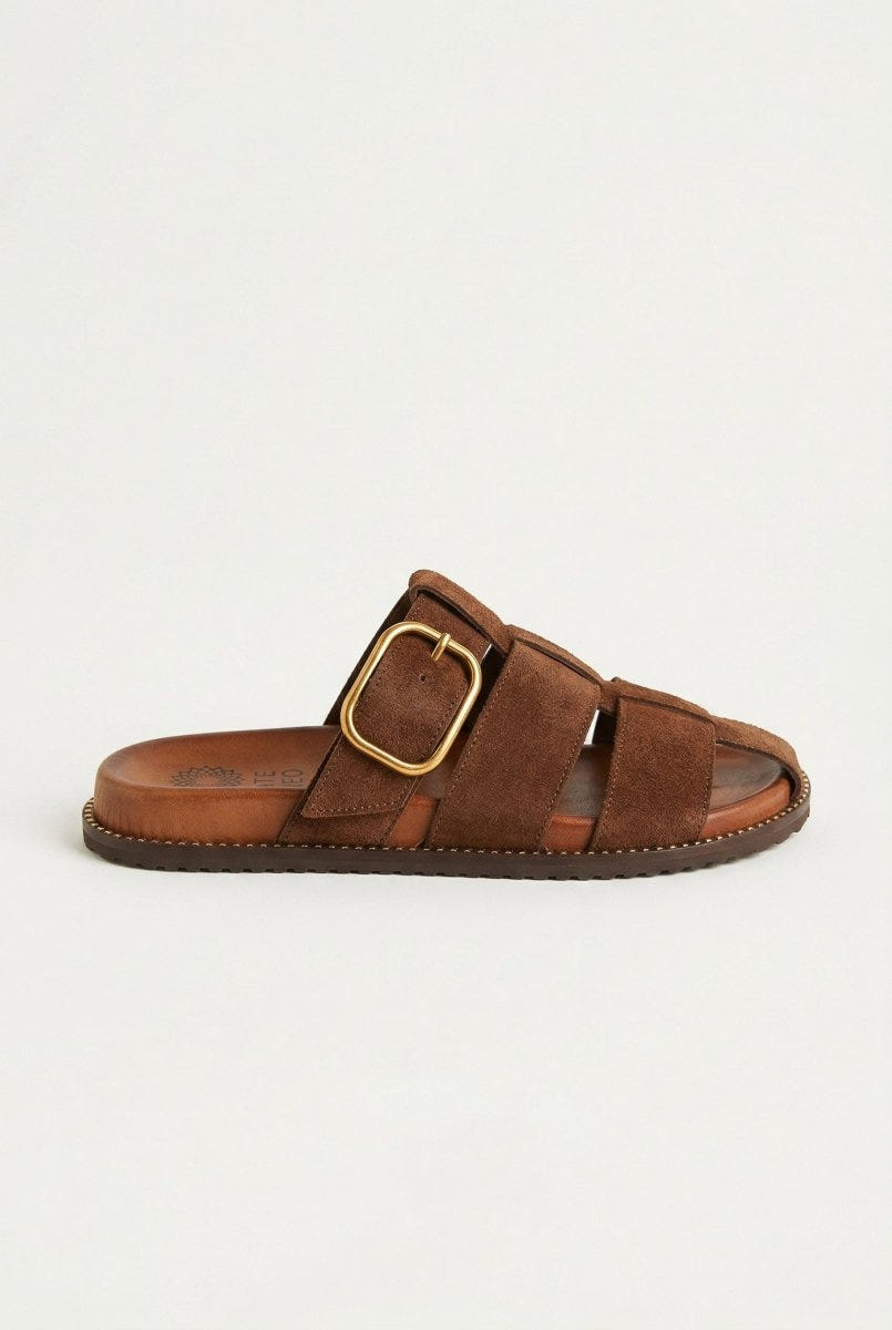 ATENEO - Fisherman Sandals Buckle Detail - Dark Brown Suede