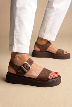 Brown Suede