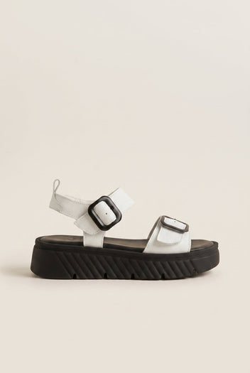 TFP - Flatform Sandals Buckle Strap - White Matte