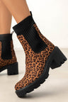 Leopard