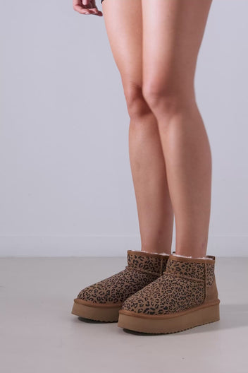 Leopard Print Ankle Boots - Leopard suede
