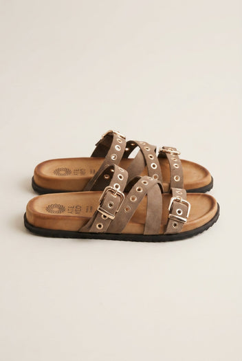 ATENEO - Sandals Studded Strappy - Taupe Suede