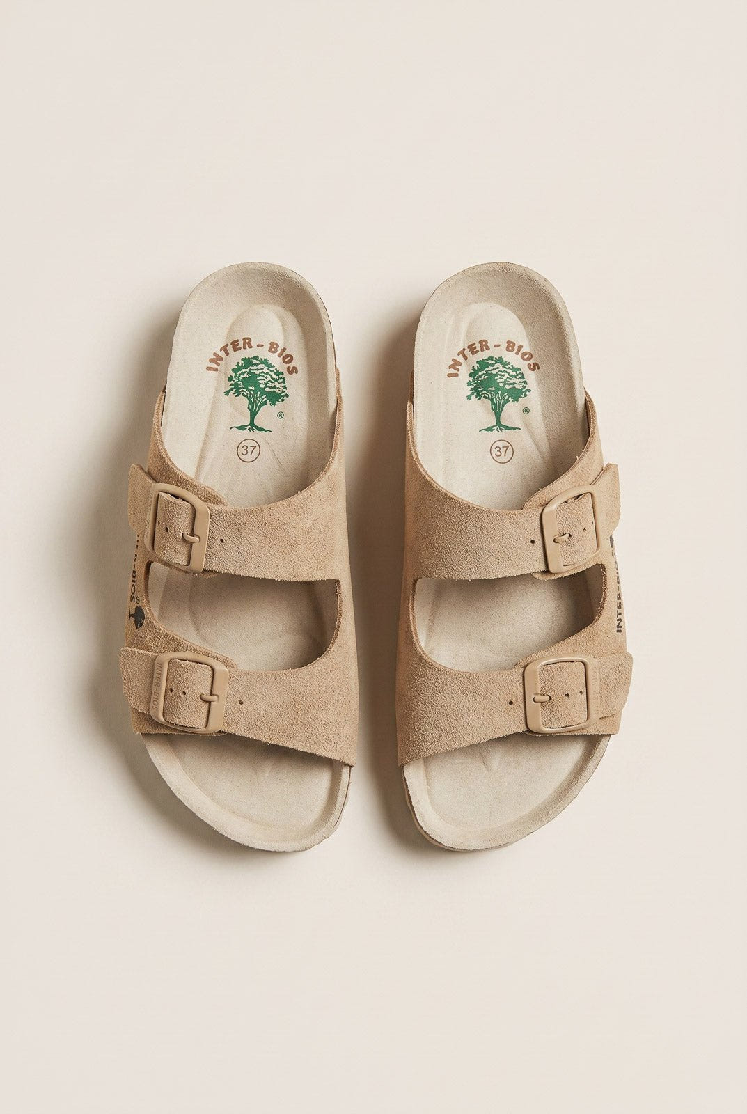 Inter - Bios - Sandals Wide Strap Buckle - Beige Suede