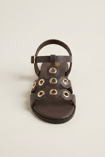 ATENEO - Studded Sandals Buckle Strap - Dark Brown Matte