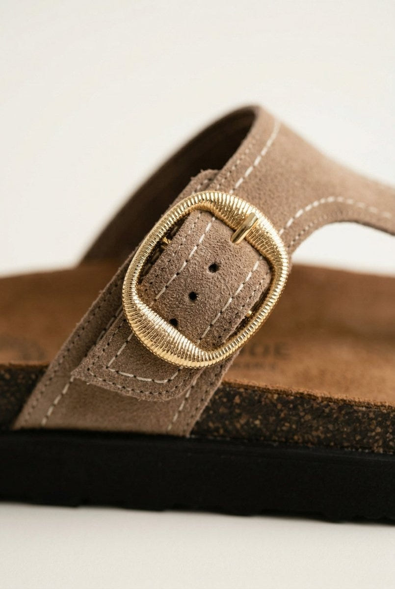 ATENEO - T Strap Sandals Buckle Detail - Taupe Suede