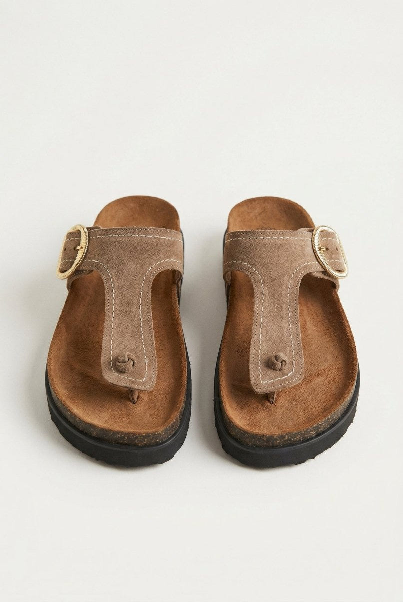 ATENEO - T Strap Sandals Buckle Detail - Taupe Suede