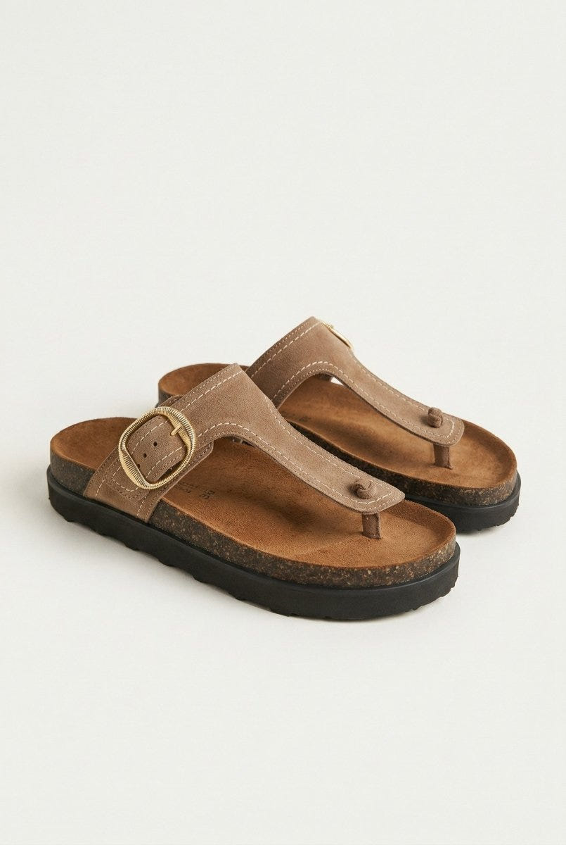 ATENEO - T Strap Sandals Buckle Detail - Taupe Suede
