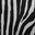 Zebra Pony