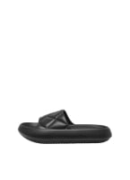 Slides ONLY 15288145