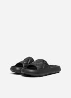 Slides ONLY 15288145