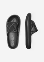 Slides ONLY 15288145