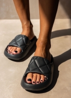 Slides ONLY 15288145