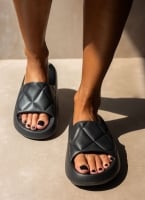 Slides ONLY 15288145