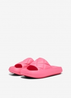 Slides ONLY 15288145