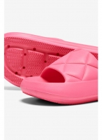 Slides ONLY 15288145