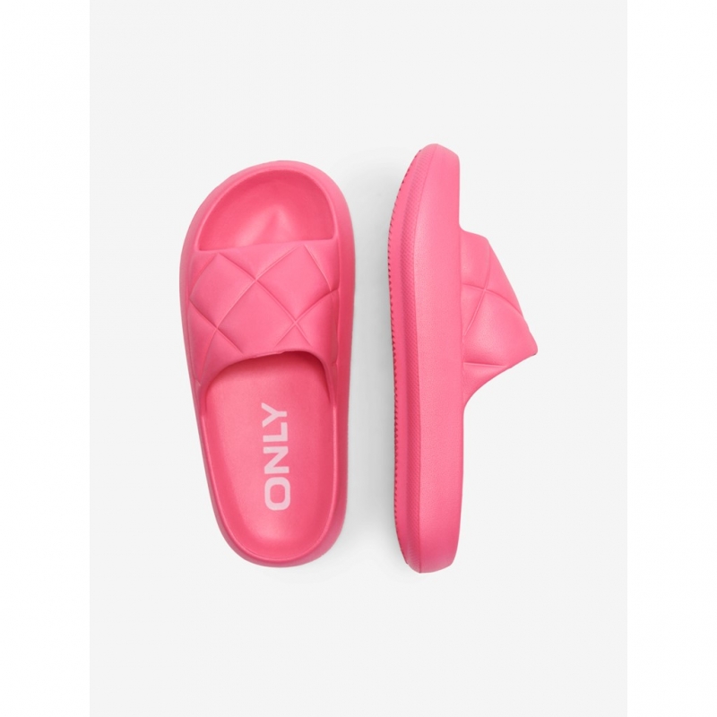 Slides ONLY 15288145