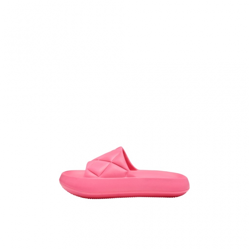Slides ONLY 15288145