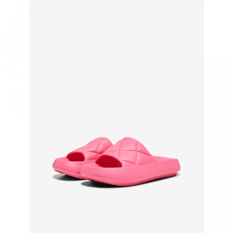 Slides ONLY 15288145