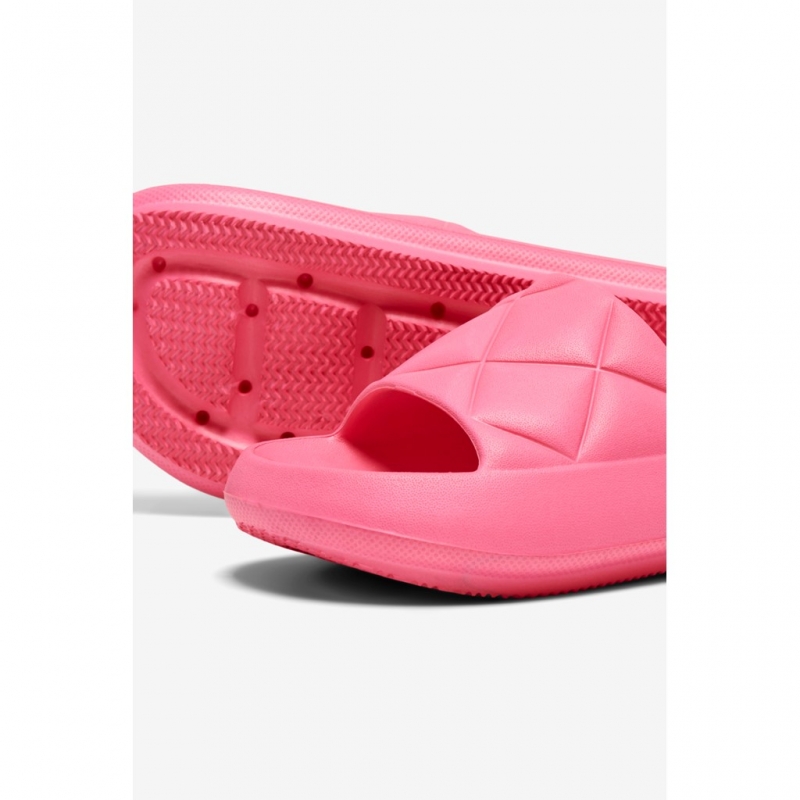Slides ONLY 15288145